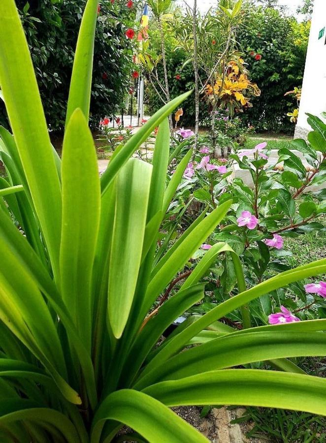 Hotel La Source Self Catering La Digue Exteriér fotografie